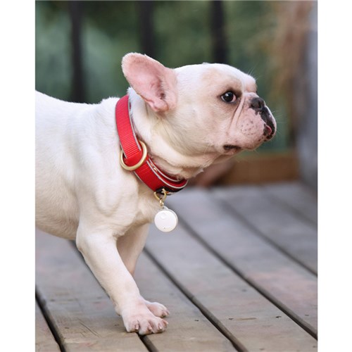 dogness_smart_light02