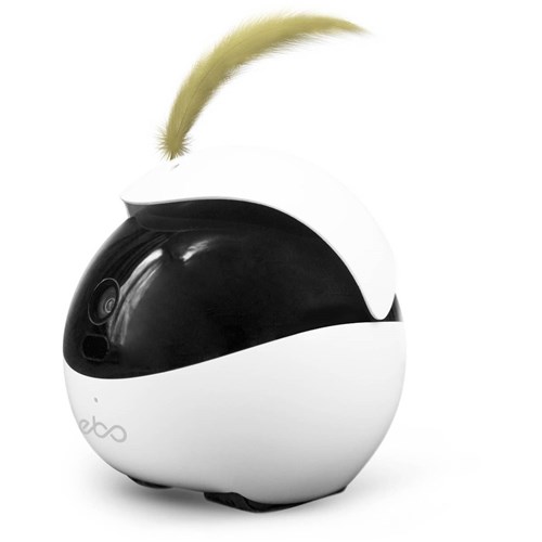 enabot_ebo_catpal_smart_robot_companion_cat_sitter_luxary_pro-08