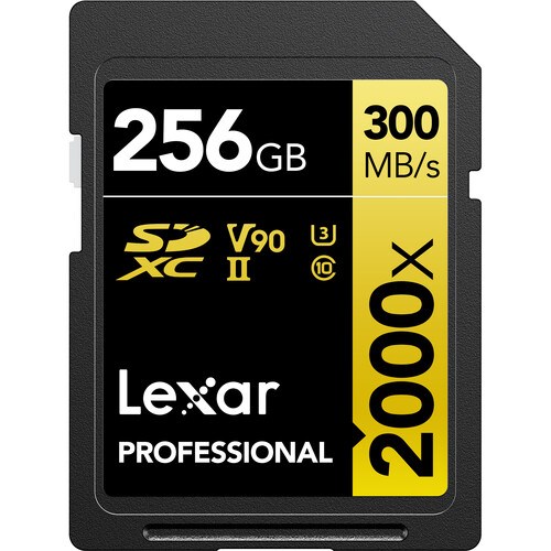 lexar-256gb-300-1