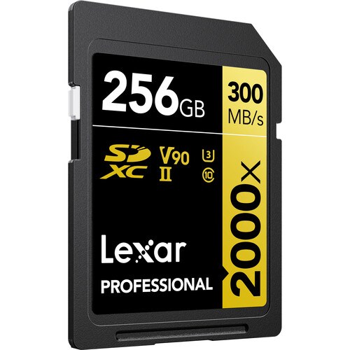 lexar-256gb-300-2