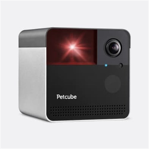 petcube-camera-1