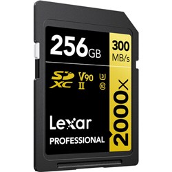 lexar-256gb-300-2