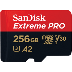 sandisk-256gb-micro