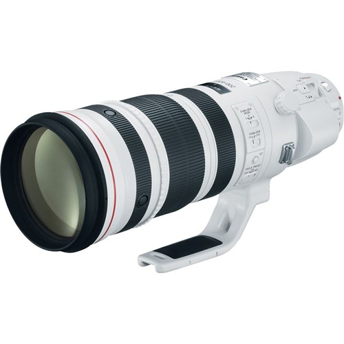 Canon EF 200-400mm F4L IS USM Lens USM Extender 1.4x
