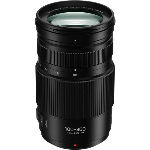 Panasonic Lumix 100-300mm II F4-5.6 Micro 4/3 Lens